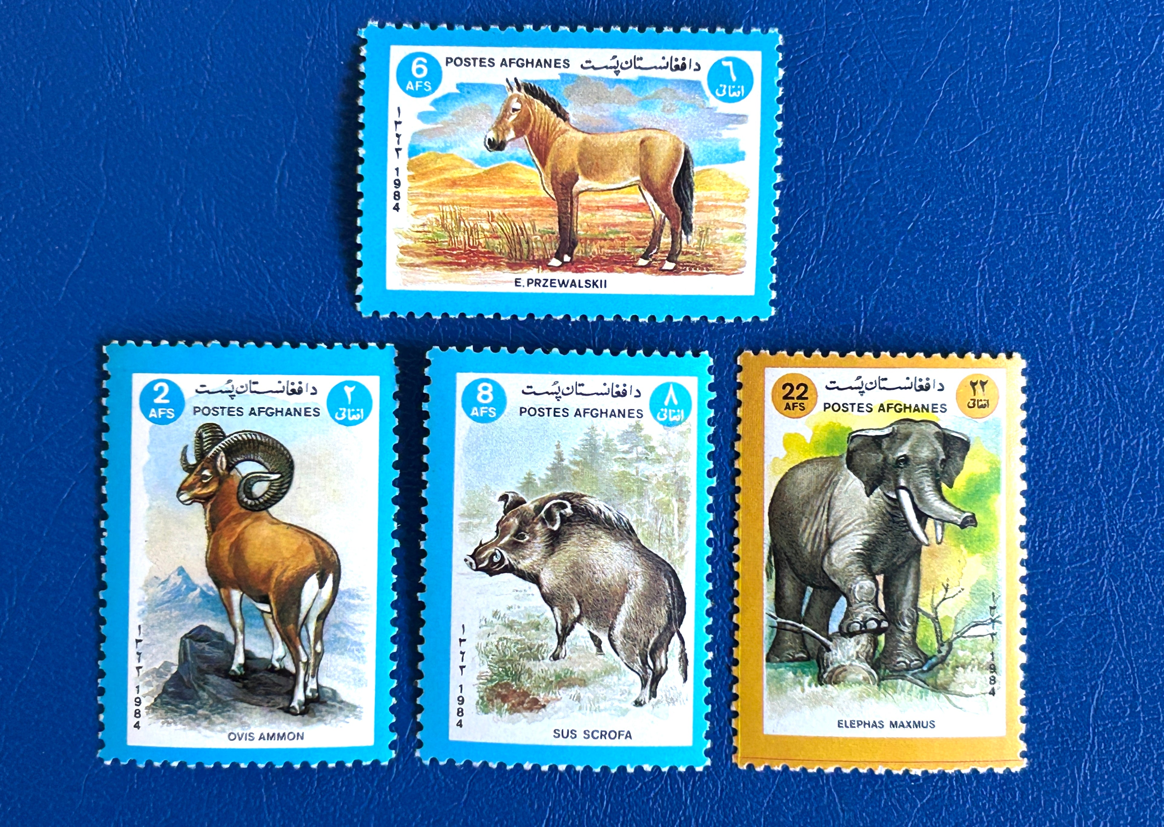 Vintage design stamps