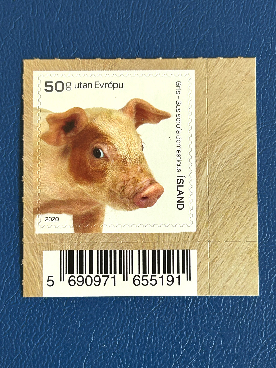Iceland - 2020 - Domestic Animals: Pig (fauna) - MNH**