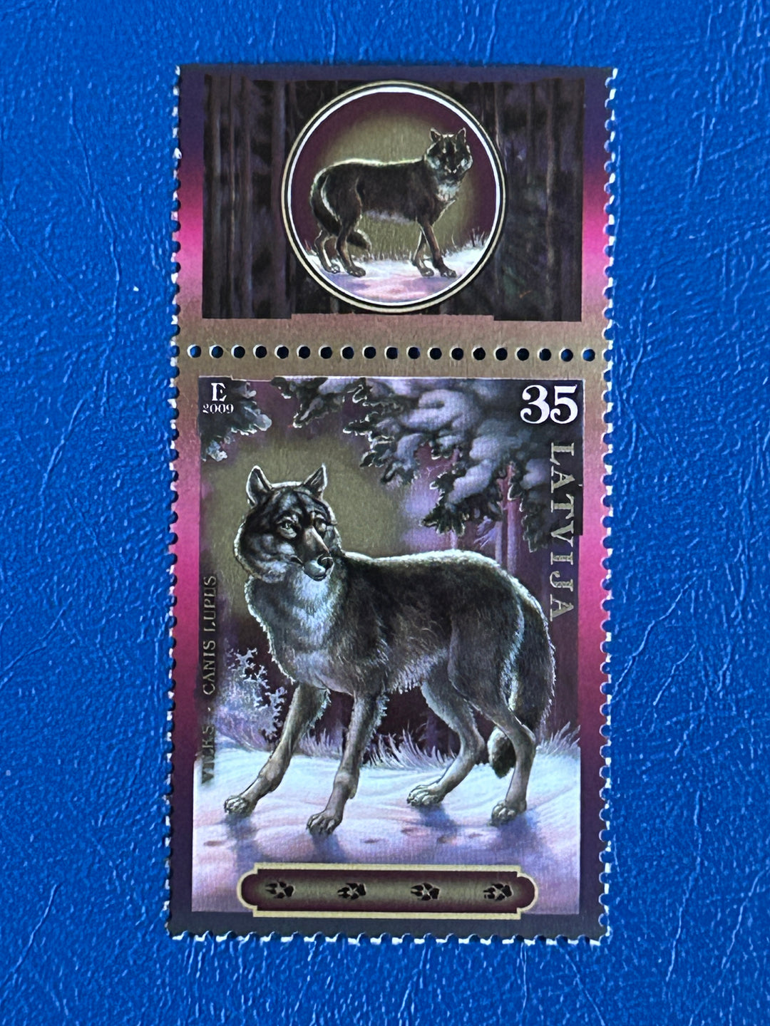 Latvia - 2009 -  Wolf (fauna) - MNH**