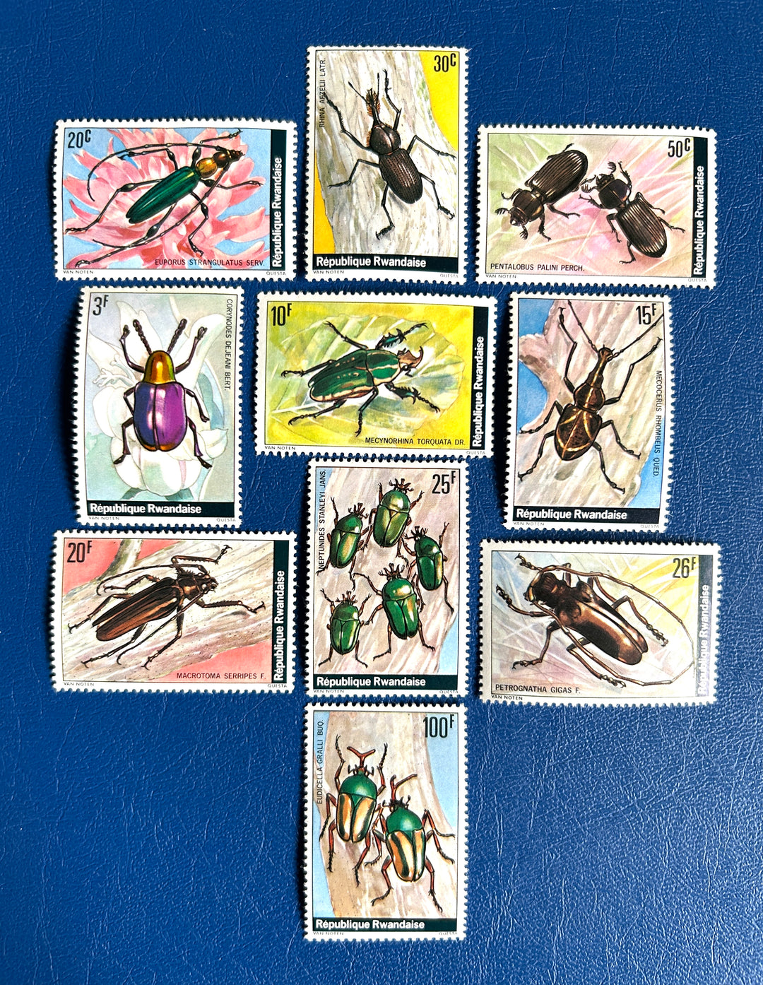 Ruanda - 1998 - Insects/ Beetles (fauna) -  MNH**