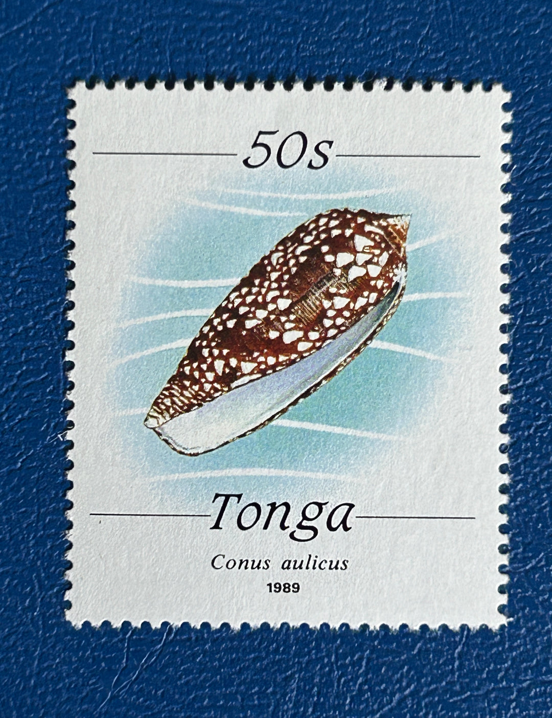Tonga - 1989 - Princely Cone #704 - MNH** (fauna)