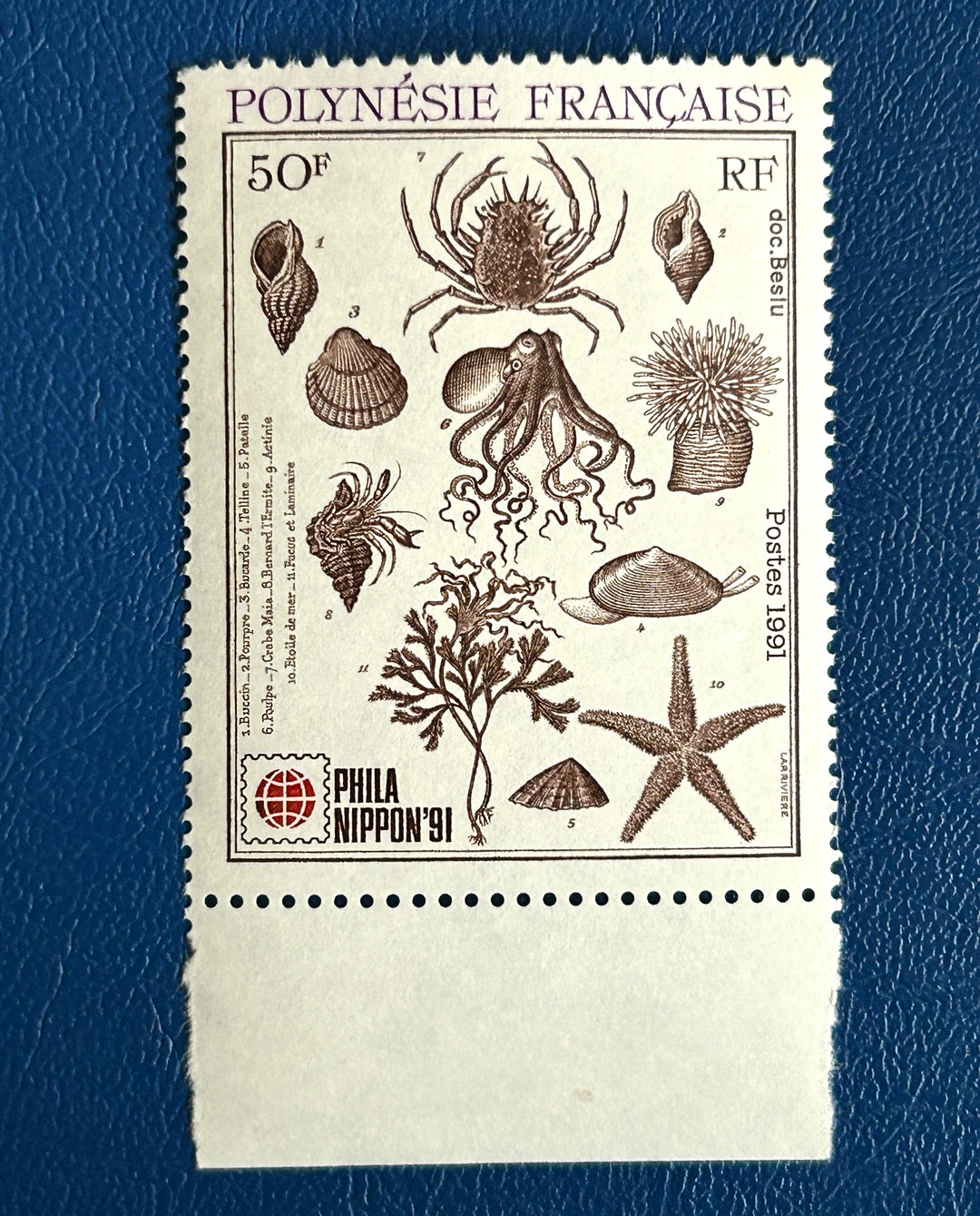 French Polynesia- 1991 - Marine Life - MNH**