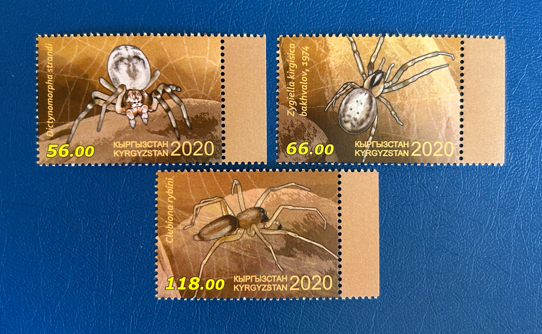 Kyrgyzstan - 2020 - Spiders (fauna) - MNH**