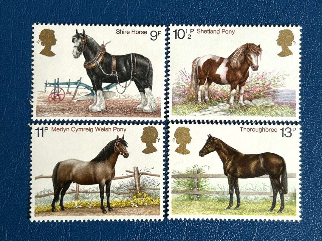 United Kingdom - 1978 - British Horses - MNH** (fauna)