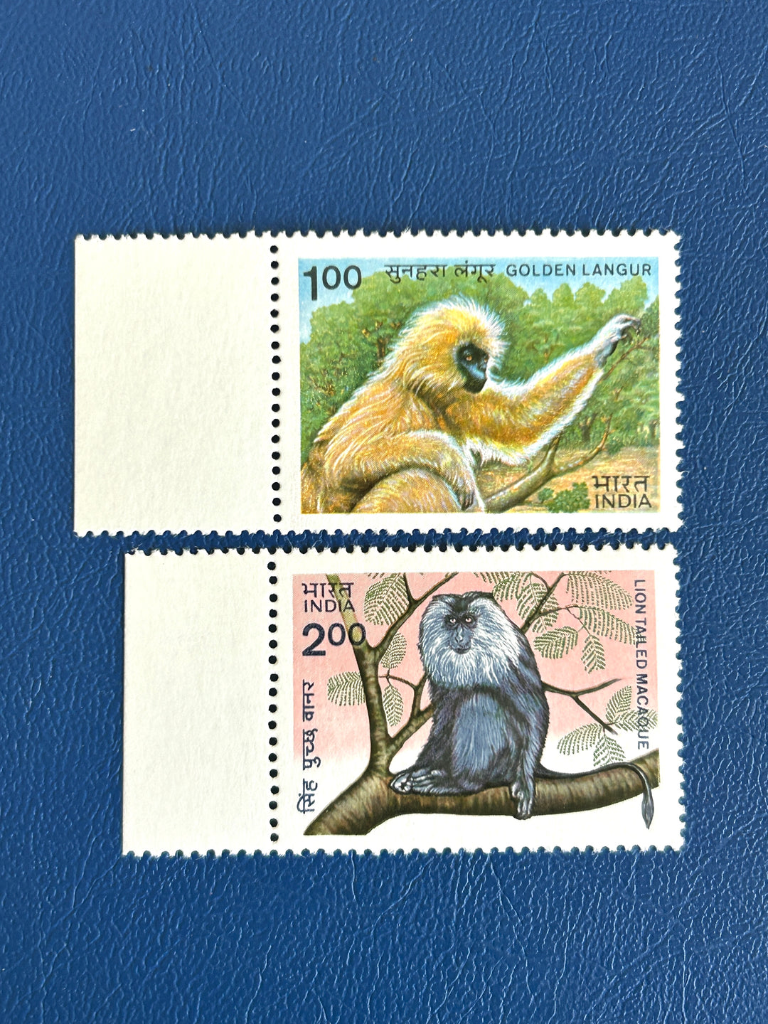 Indonesia - 1996 - Cuscuses (fauna) - MNH**