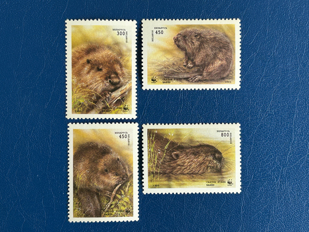 Belarus - 1995 - Eurasian Beaver - MNH**