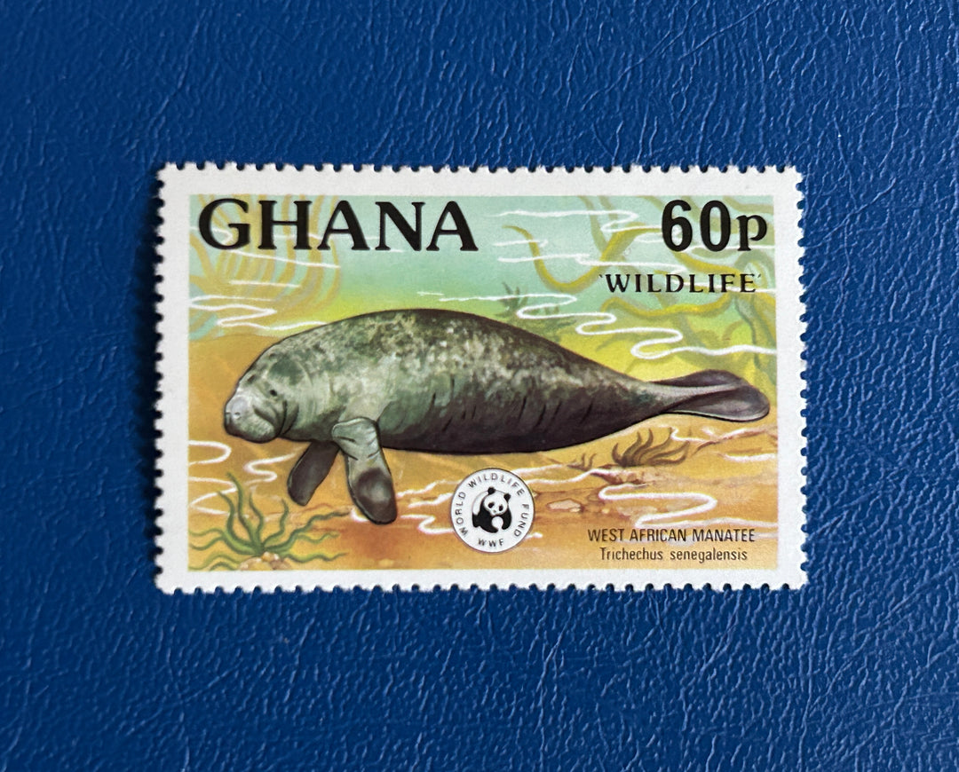 Ghana - 1977 - West African Manatee (fauna)- MNH**