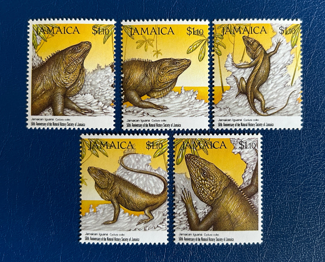 Jamaica - 1991 - Natural History Society: Iguana (fauna)  - MNH**
