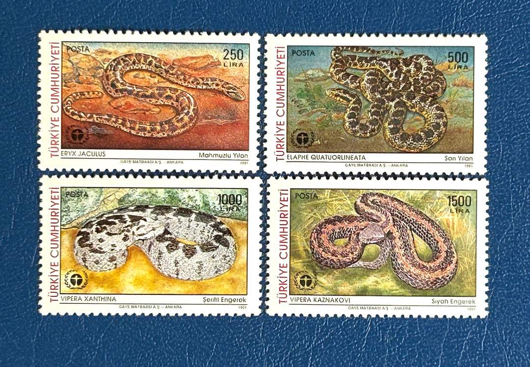 Turkey - 1991 - Snakes - MNH** (fauna)