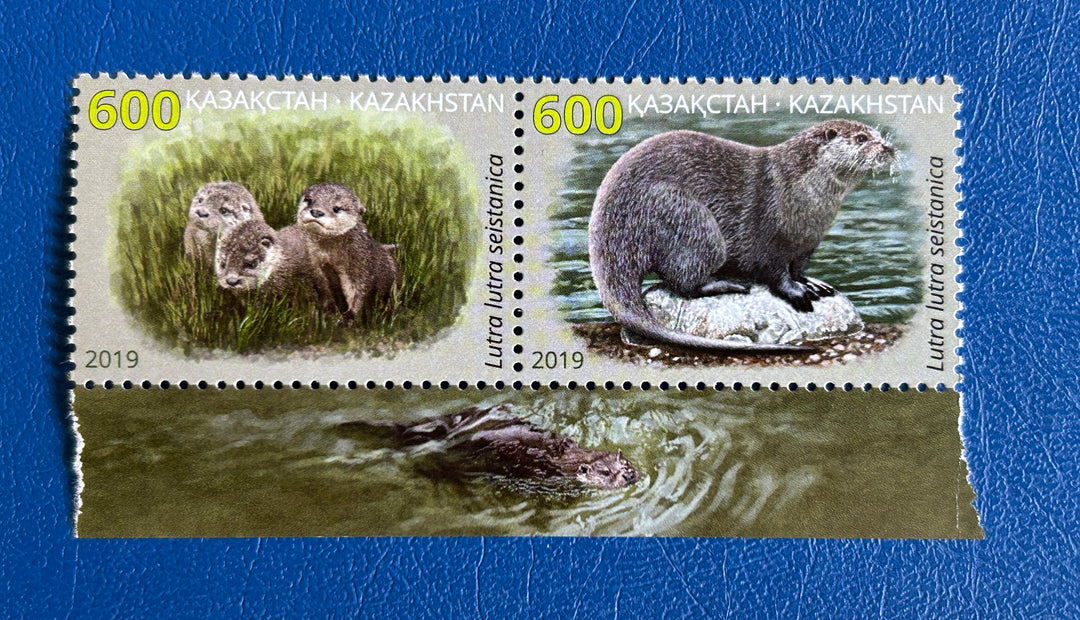 Kazakhstan - 2019 - River Otter (Fauna) - MNH**