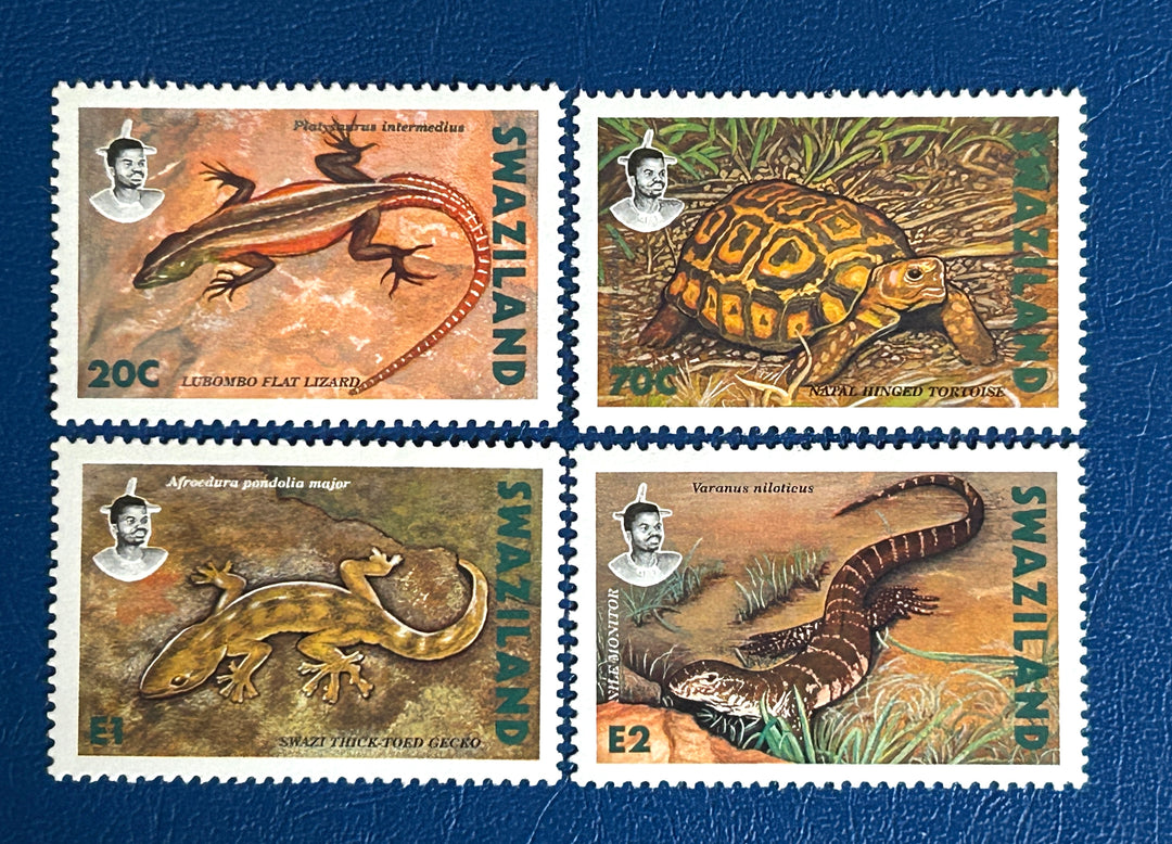Swaziland - 1992 - Reptiles - MNH** (fauna)