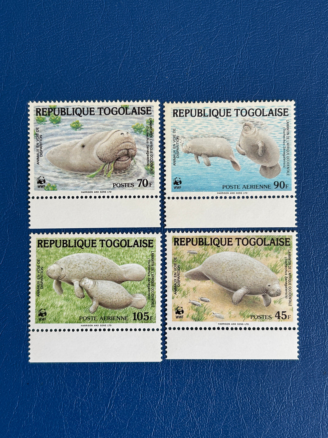 Togo - 1984 - Manatee - MNH** (fauna)
