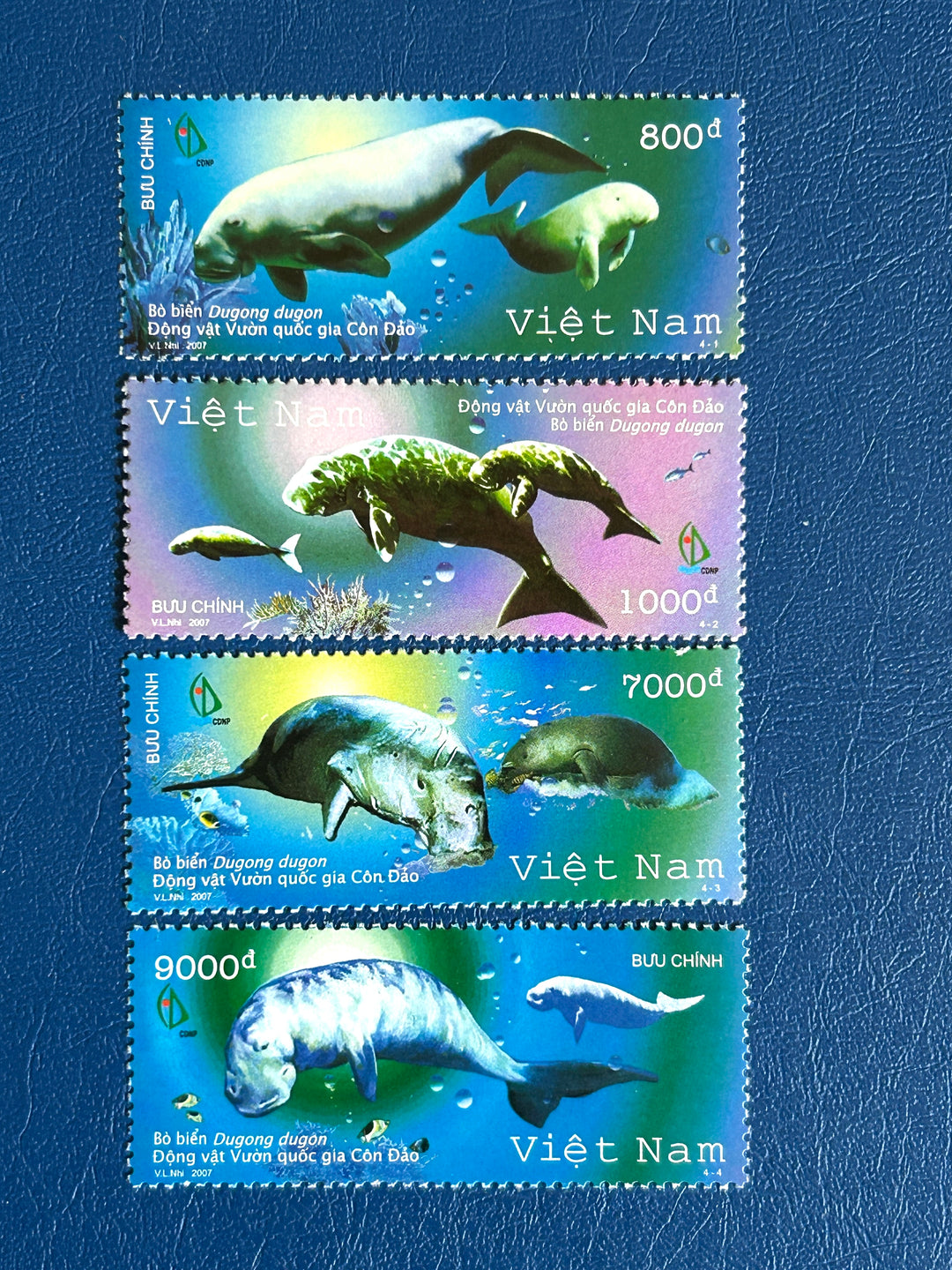 Vietnam - 2007 - Animals of Can Dao Ntl Park: Dugong (fauna) - MNH**