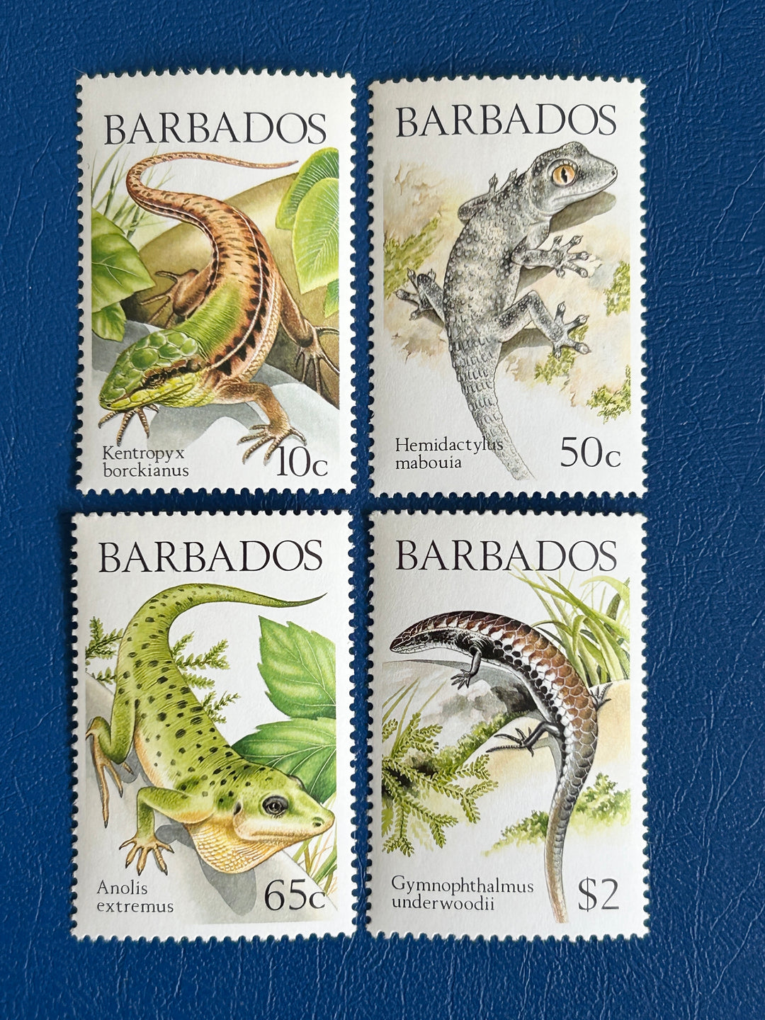 Barbados - 1988 - Lizards (Fauna) - MNH**