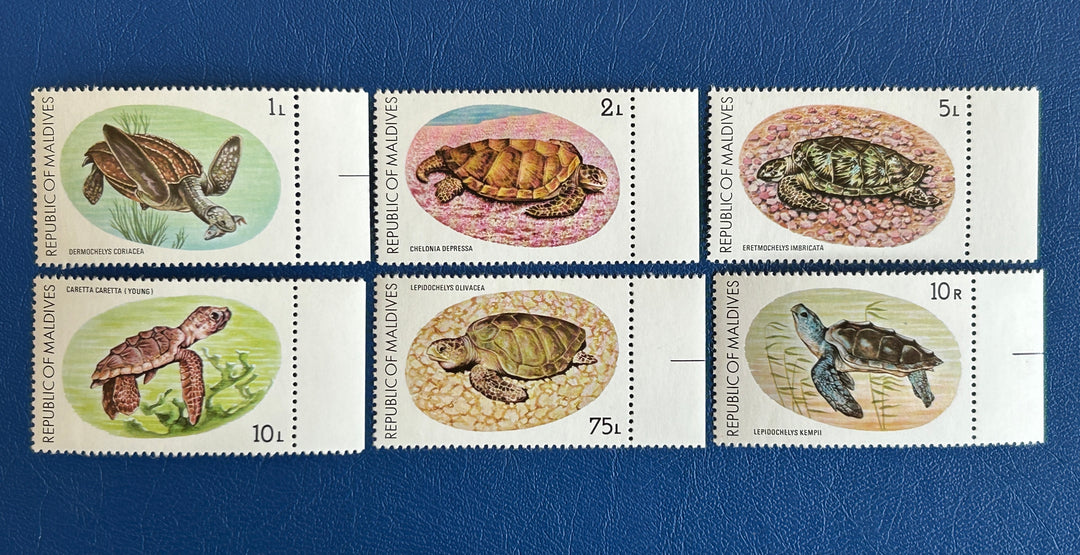 Maldives - 1980 - Turtles (fauna) - MNH**