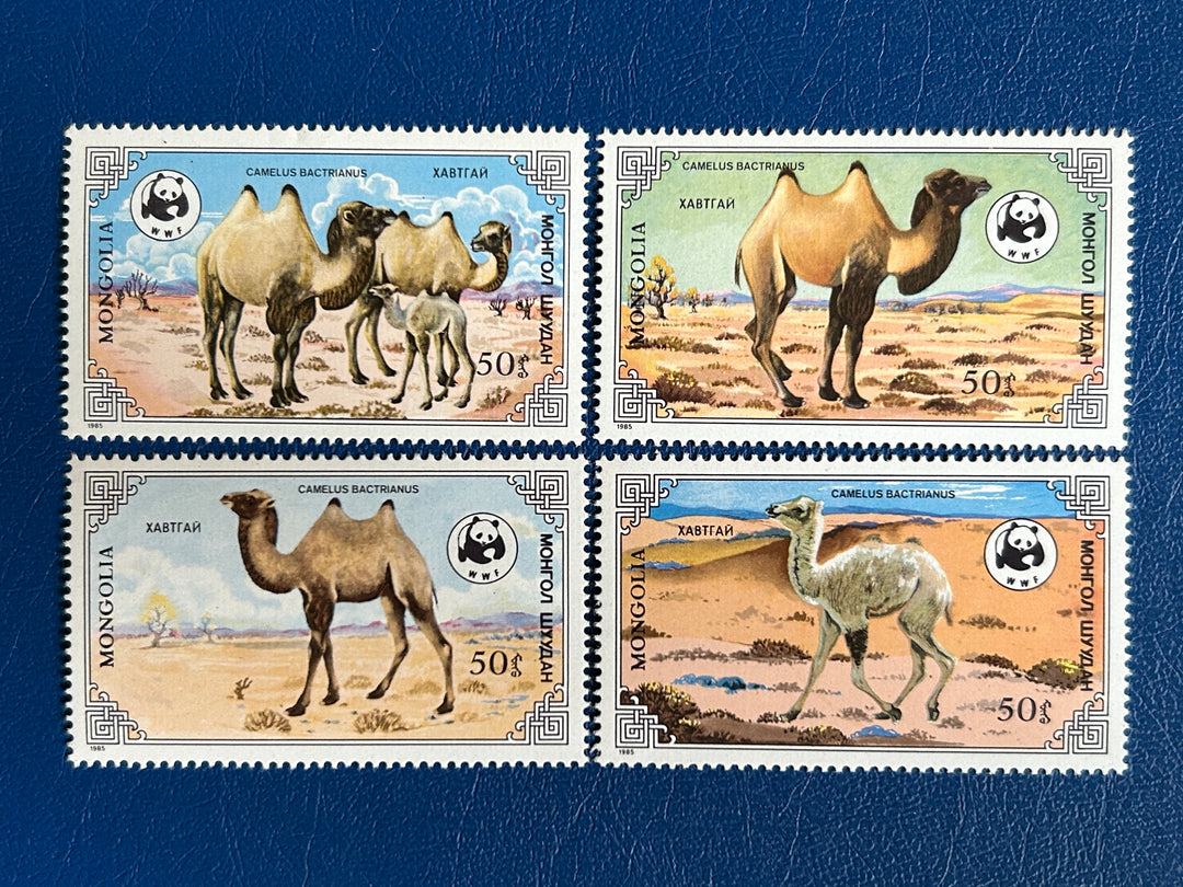 Mongolia - 1985 - WWF: Camels (fauna) -  MNH**