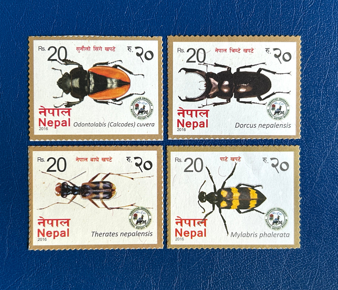 Nepal - 2016 - Beetles (fauna) -  MNH**