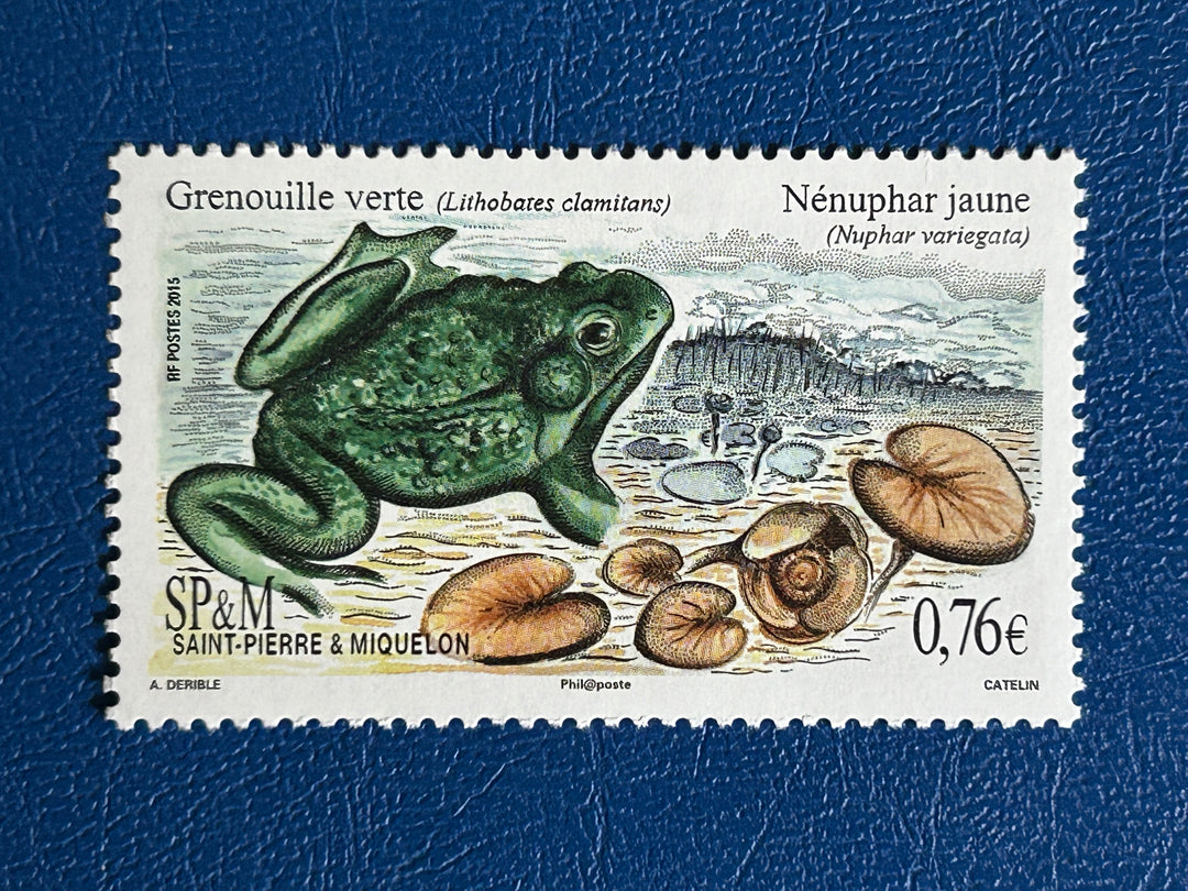 St. Pierre & Miquelon - 2015 - Green Frog - MNH** (fauna)