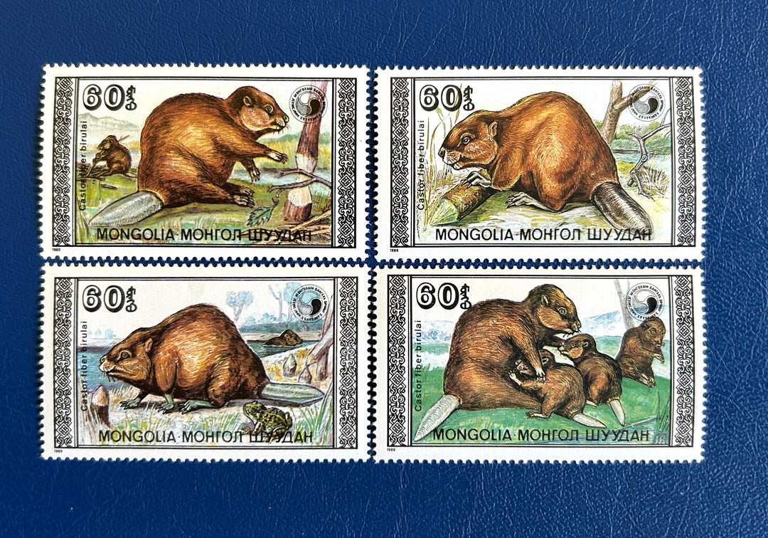 Mongolia - 1989 - Beavers (fauna) -  MNH**