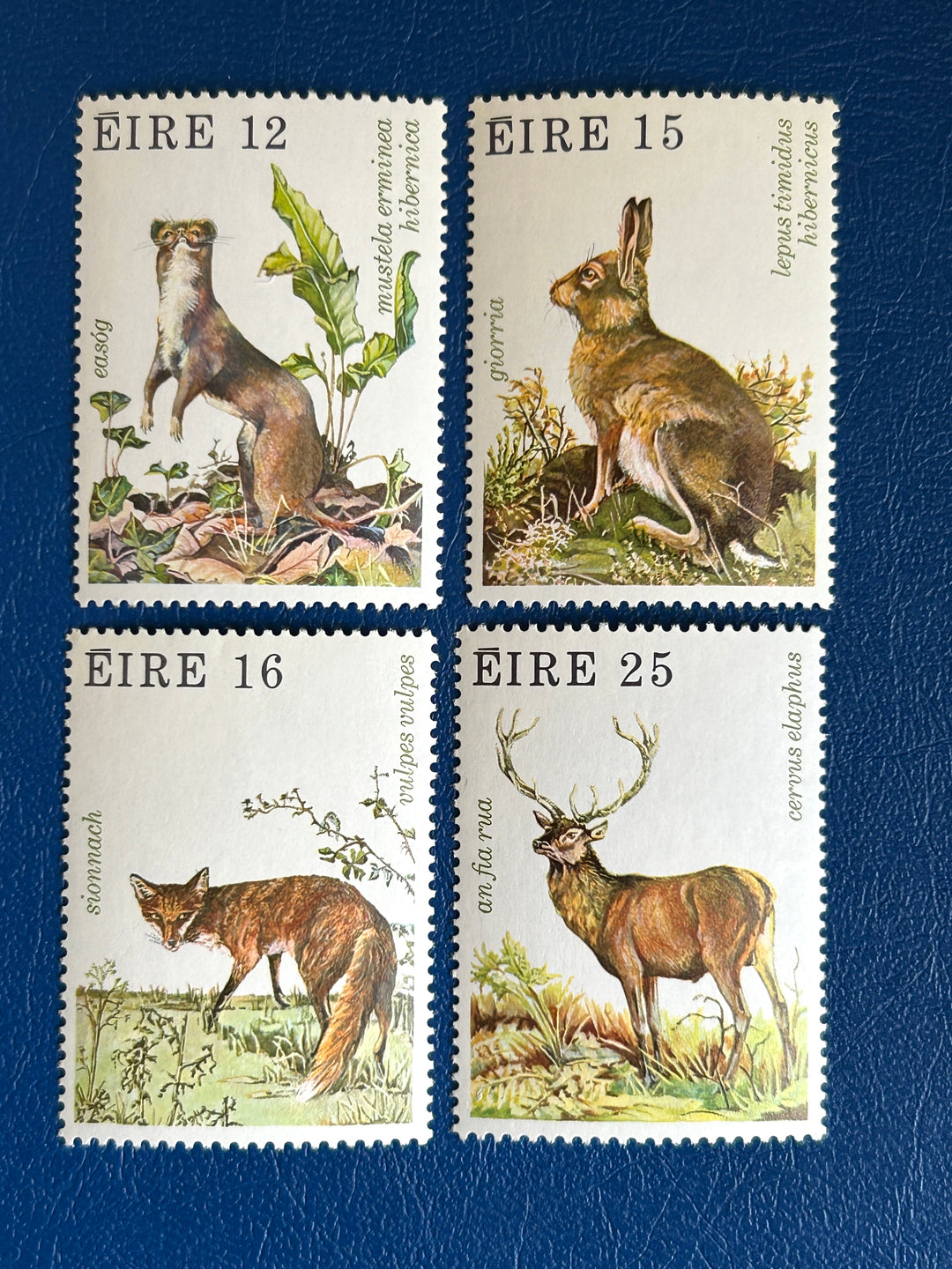 Ireland- 1980 - Wildlife (fauna)- MNH**