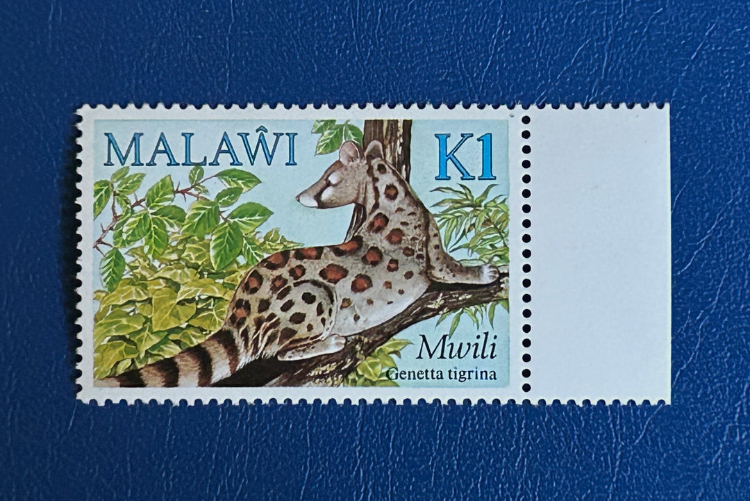 Malawi - 1984 - Genet - MNH**