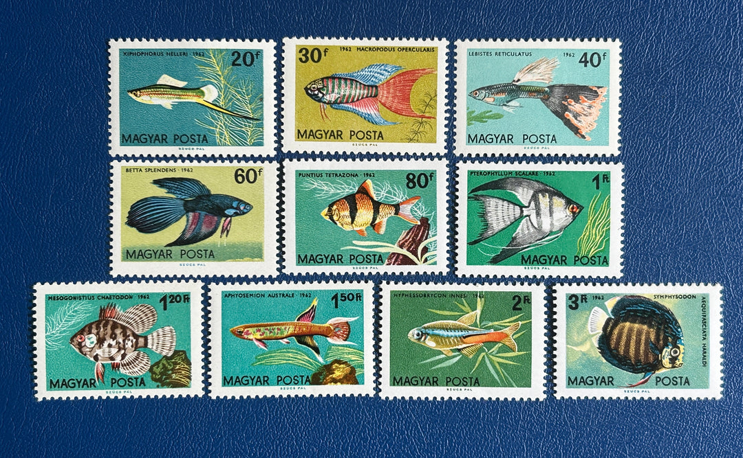 Hungría - 1962 - Pescado - MNH**
