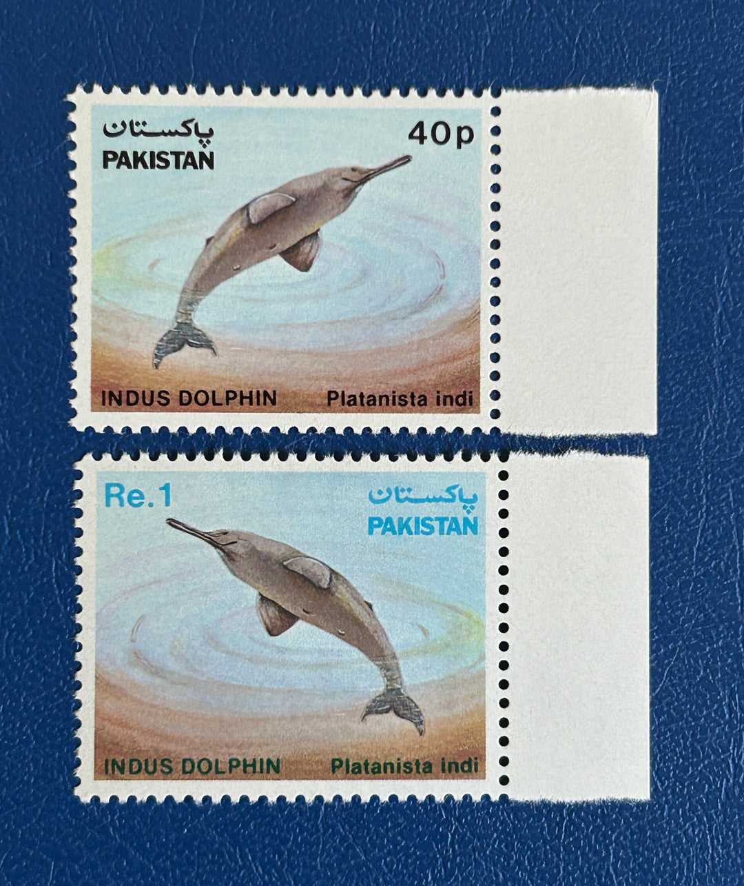 Pakistan - 1982 - Dolphin (fauna) -  MNH**