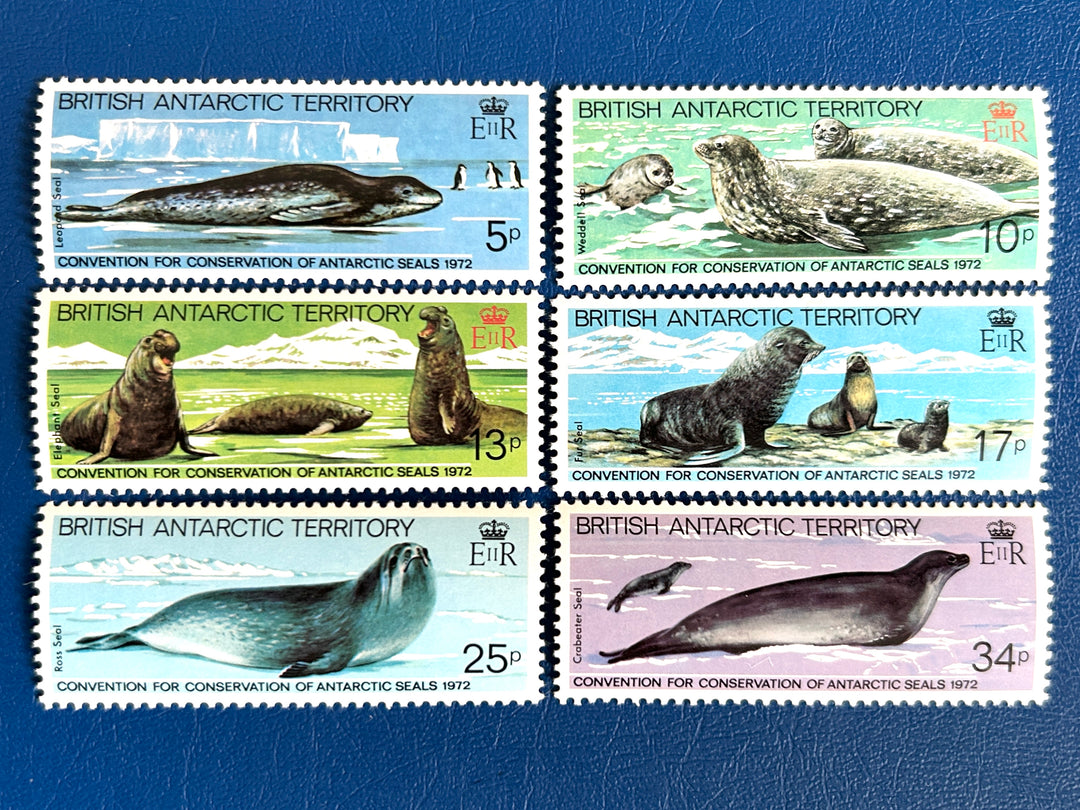 Territoire britannique de l'Antarctique - Timbres-poste originaux - 1982 - Phoques de l'Antarctique