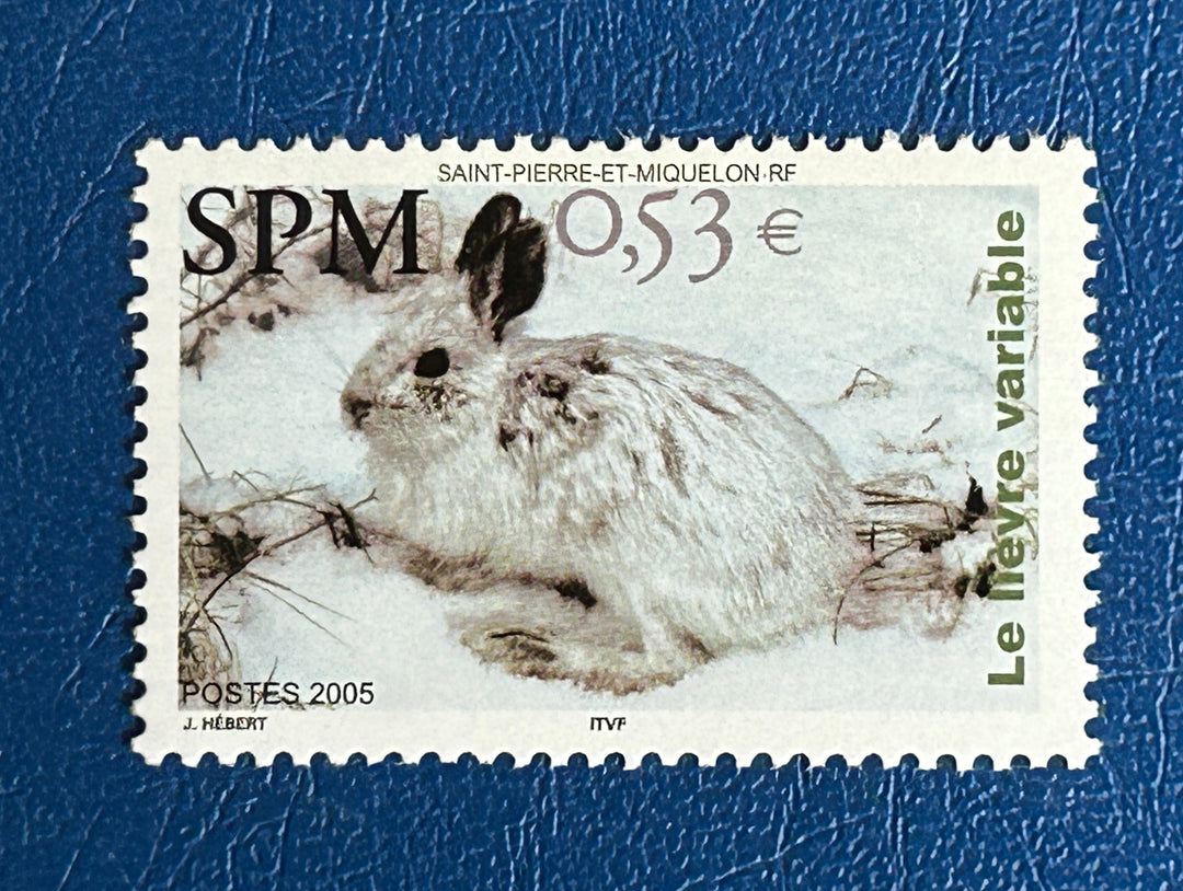 St. Pierre & Miquelon - 2005 - Rabbit - MNH** (fauna)