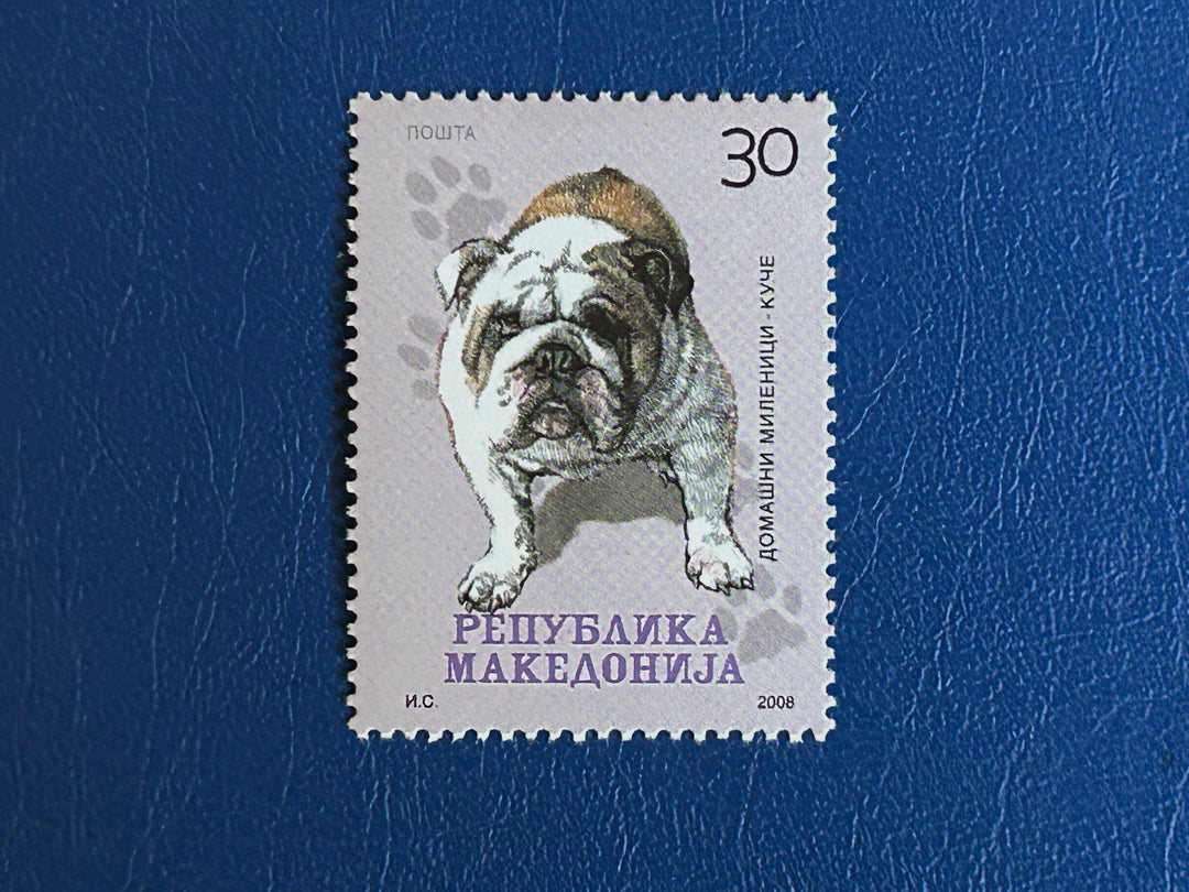 North Macedonia - 2008 - Pug - MNH**