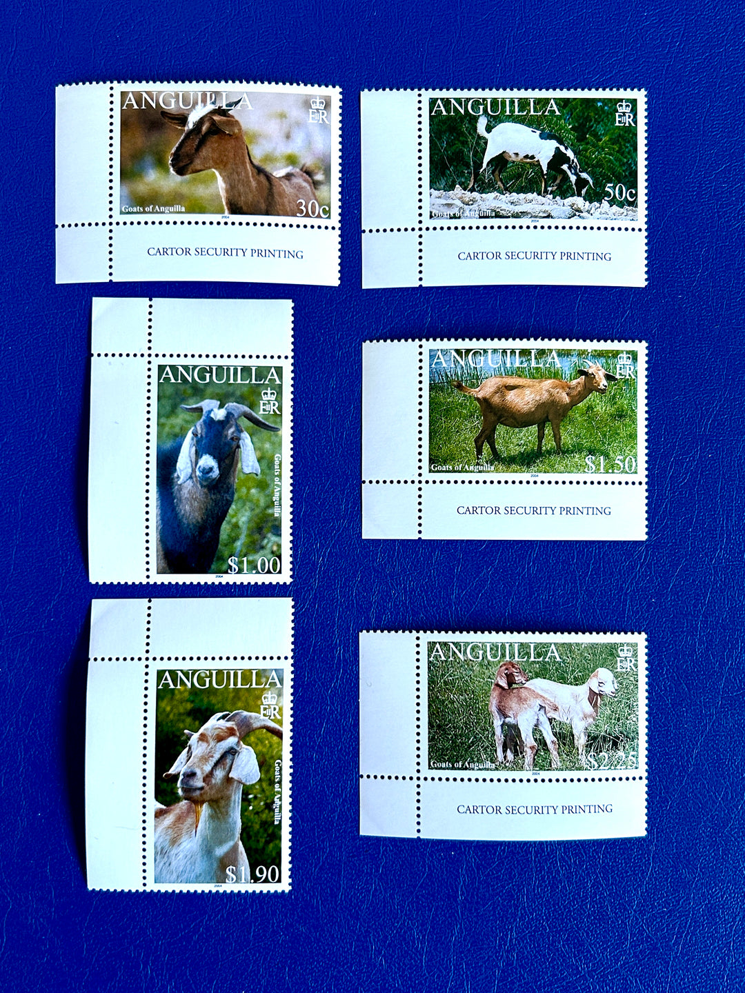 Anguilla - 2004 - Goats - MNH**