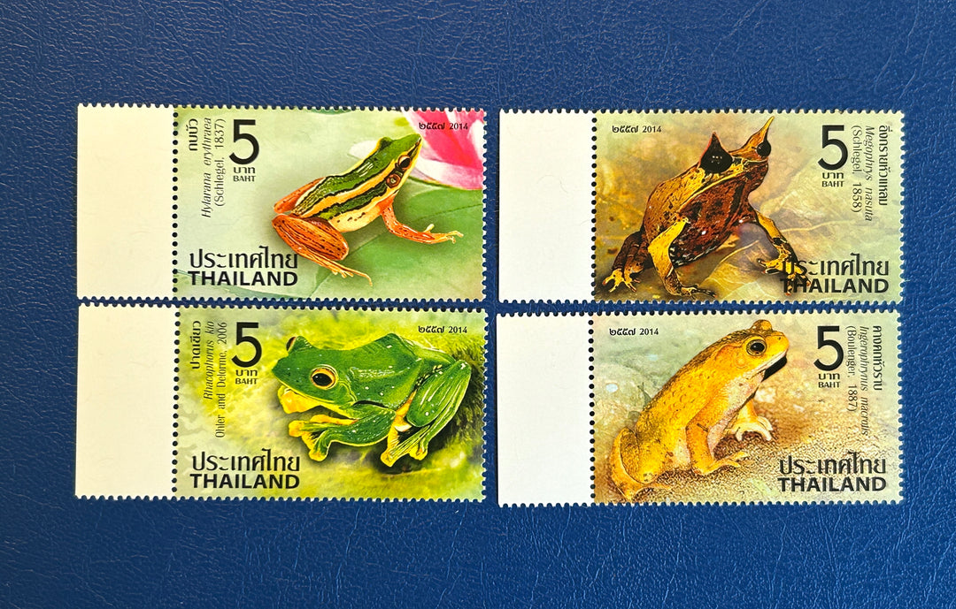 Thailand - 2014 - Amphibians  - MNH** (fauna)