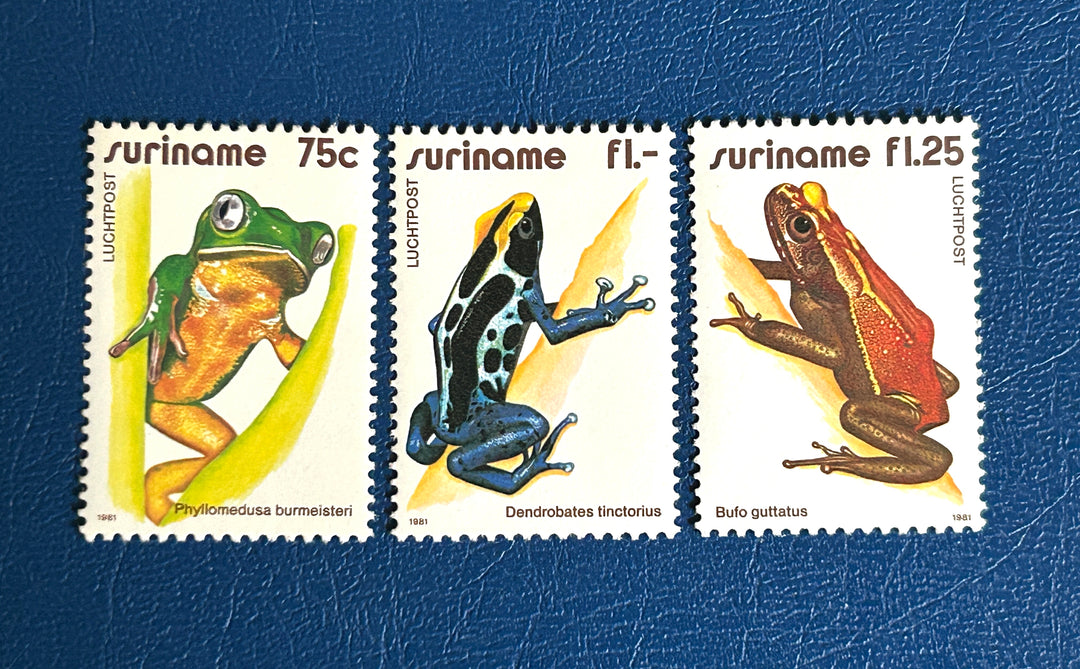 Suriname - 1981 - Frogs - MNH** (fauna)