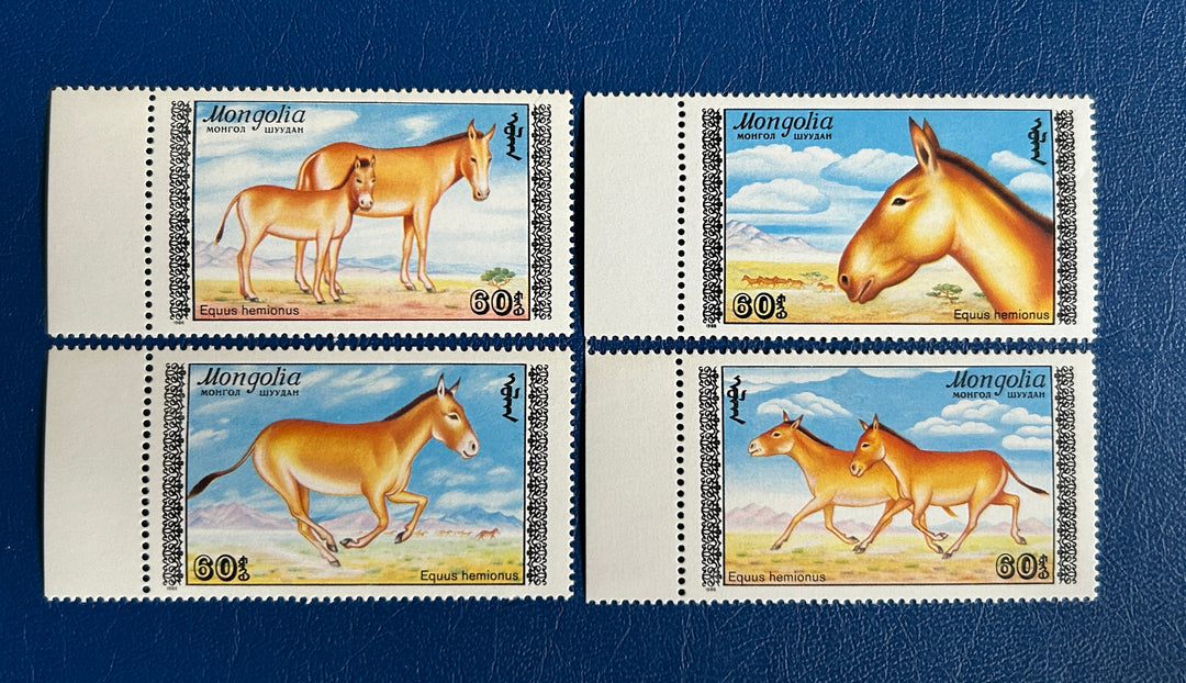 Mongolia - 1988 -Horses (fauna) -  MNH**