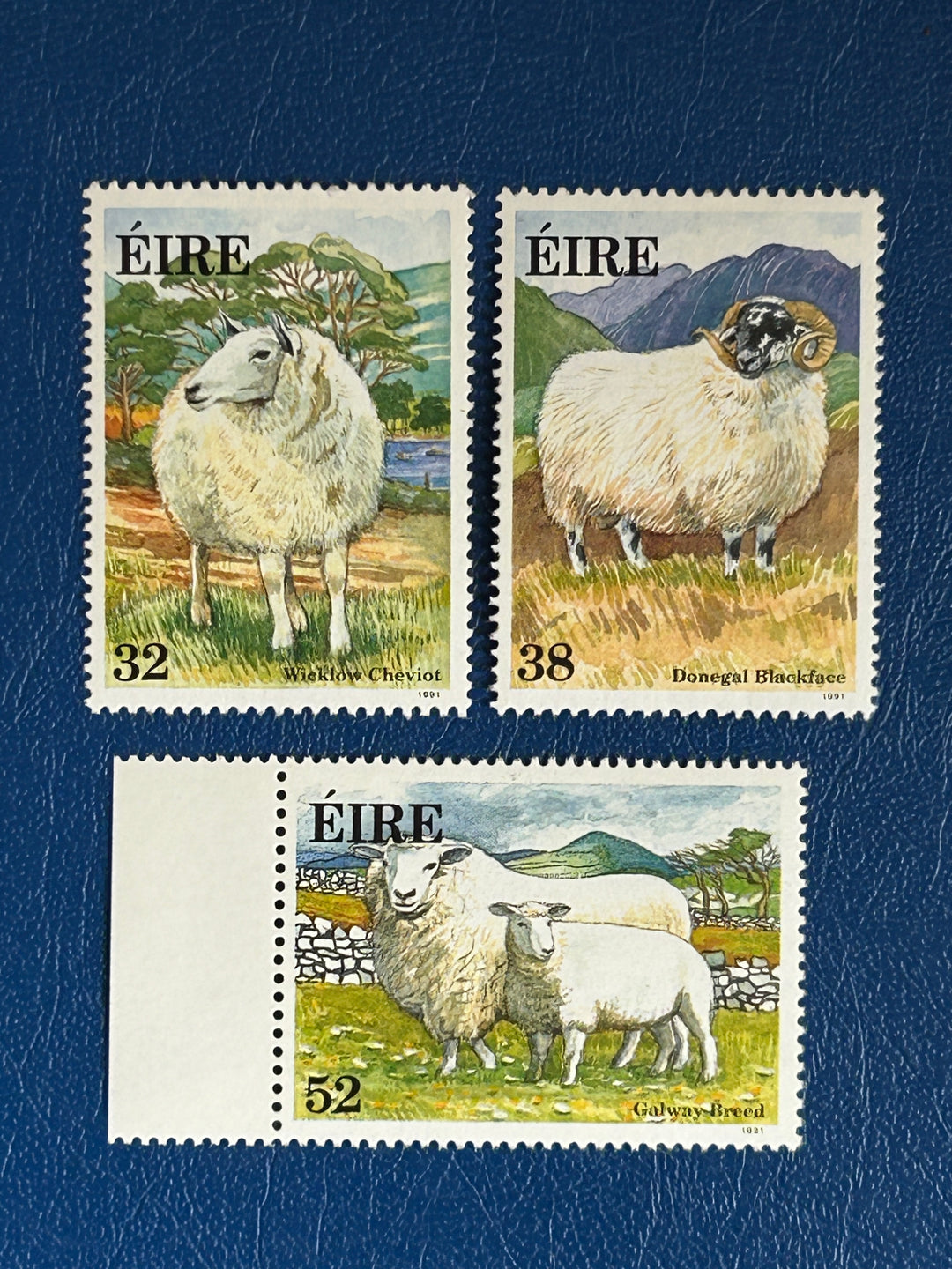 Ireland- 2008 - Sheep (fauna)- MNH**