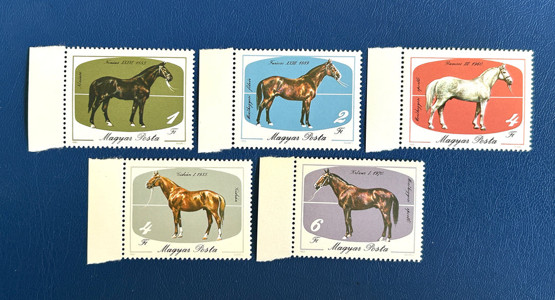 Hungary - 1985 - Horses (fauna) - MNH**