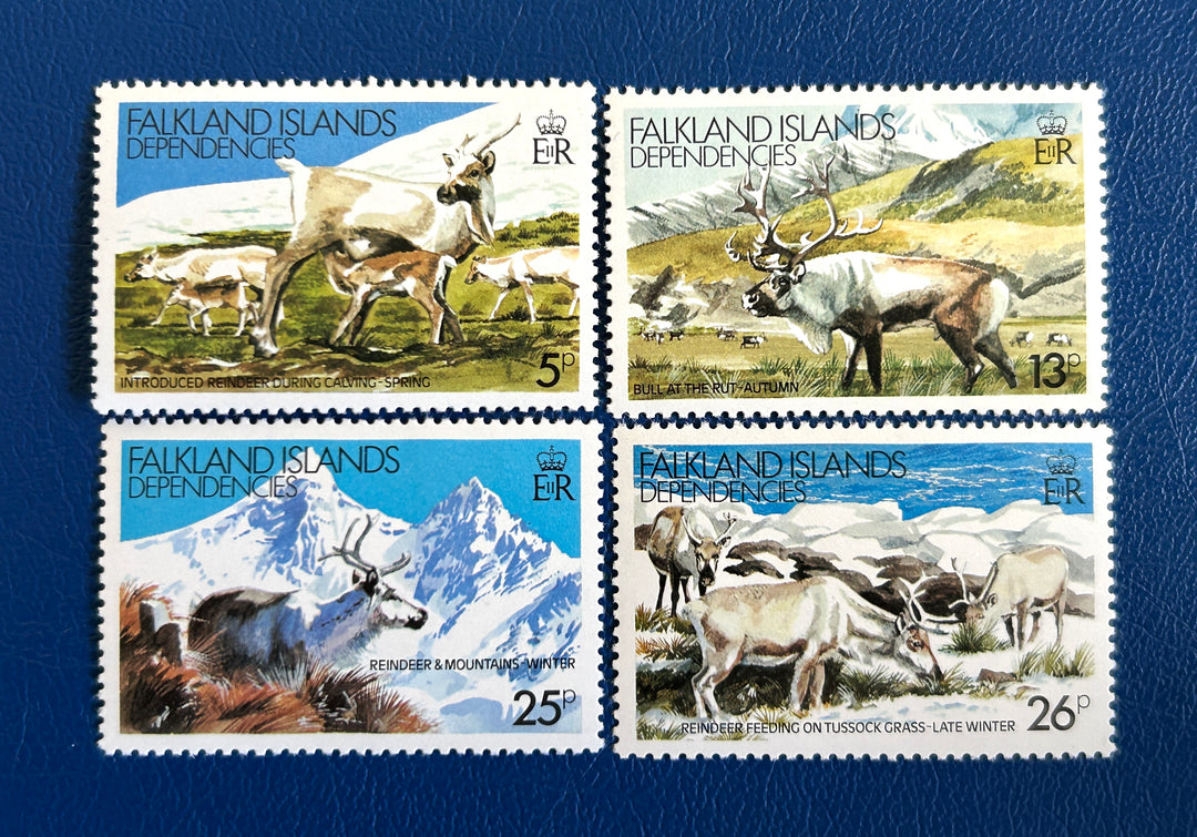 Falkland Island Dependencies - 1982 - Reindeer (fauna) - MNH**