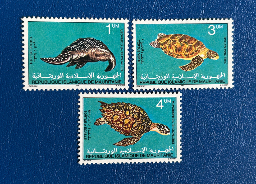 Mauritania - 1981 - Turtles (fauna) - MNH**