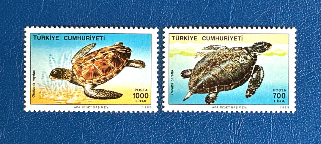 Turkey - 1989 - Turtles - MNH** mottled gum (fauna)