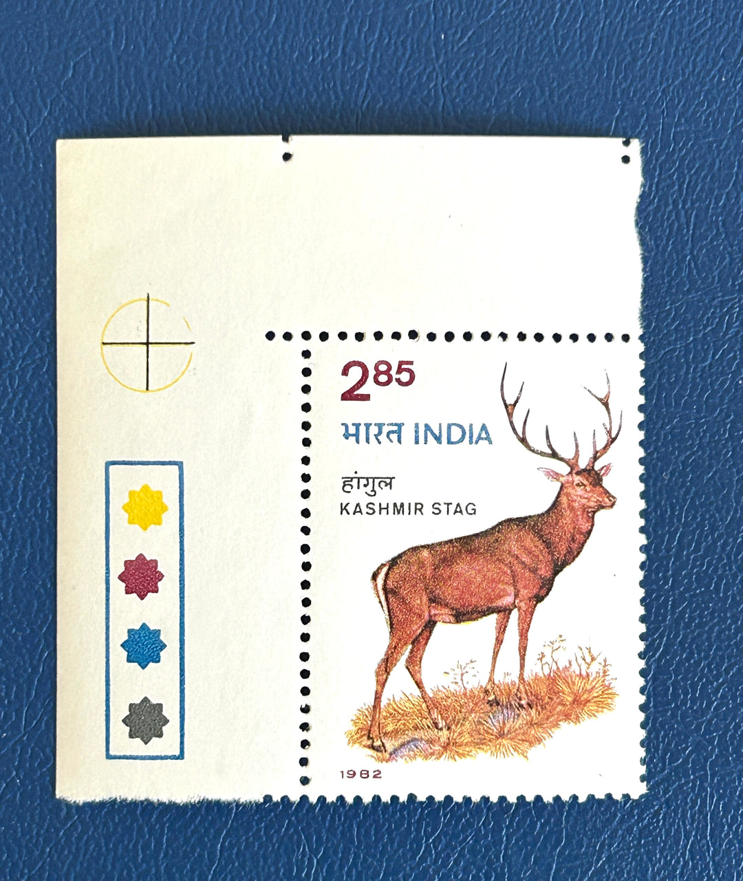 India - 1982 - Kashmir Stag (fauna) - MNH**