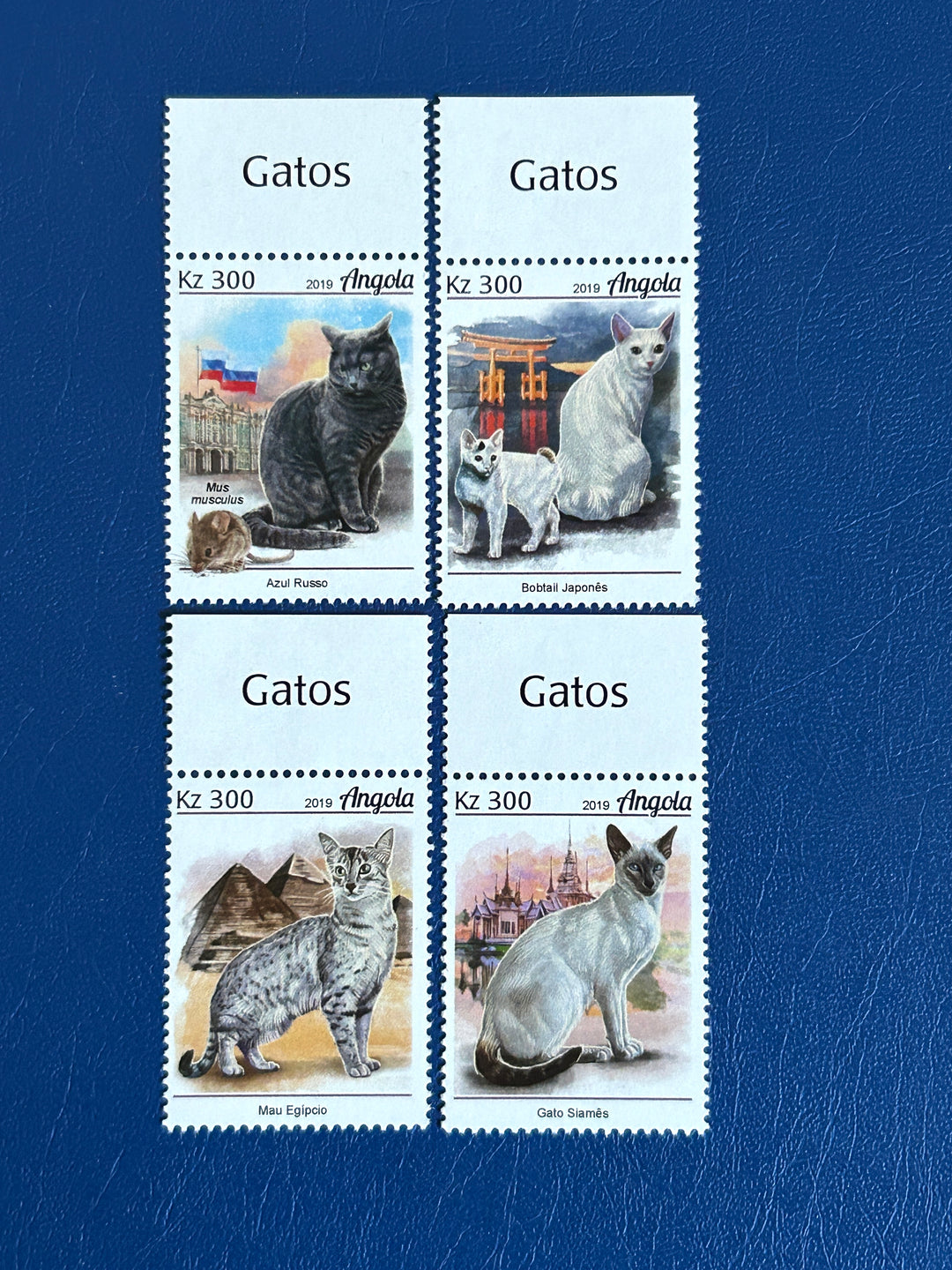 Angola Sc 1624-7 Cats (fauna) 2019 MNH**