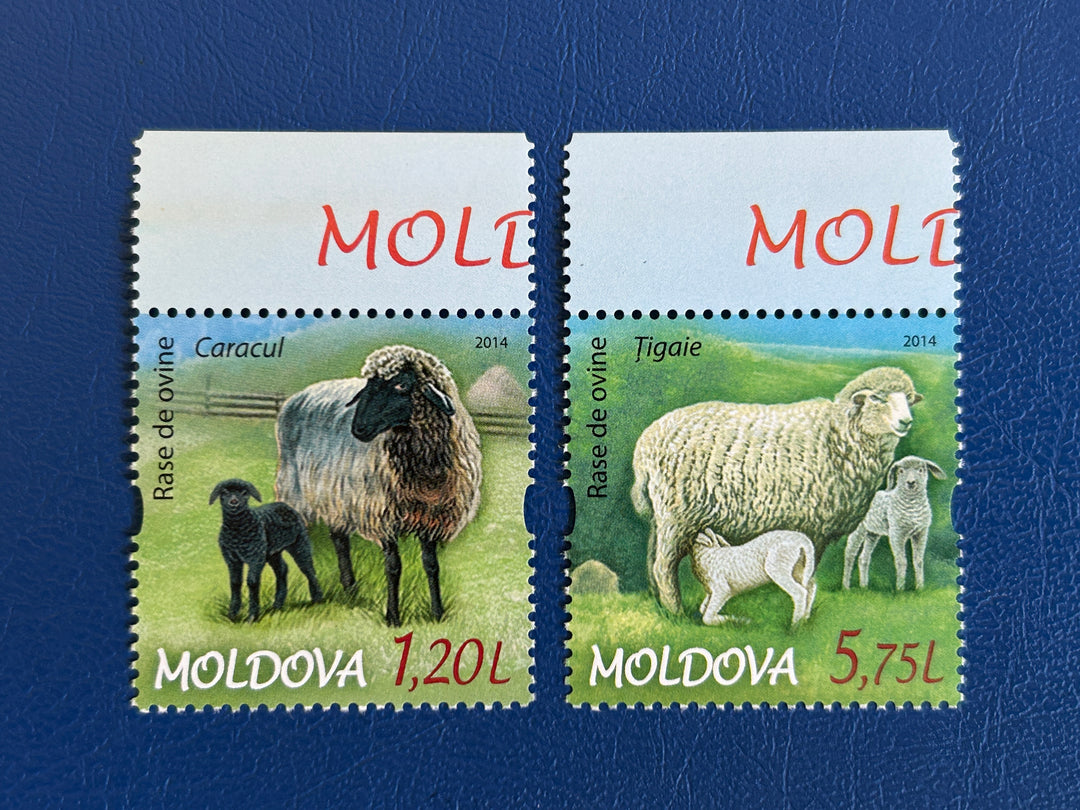 Moldova - 2014 - Farm Animals: Sheep (fauna) - MNH**