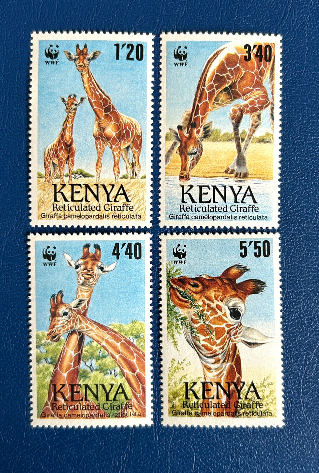Kenya - 1989 - WWF: Giraffes (fauna)- MNH**