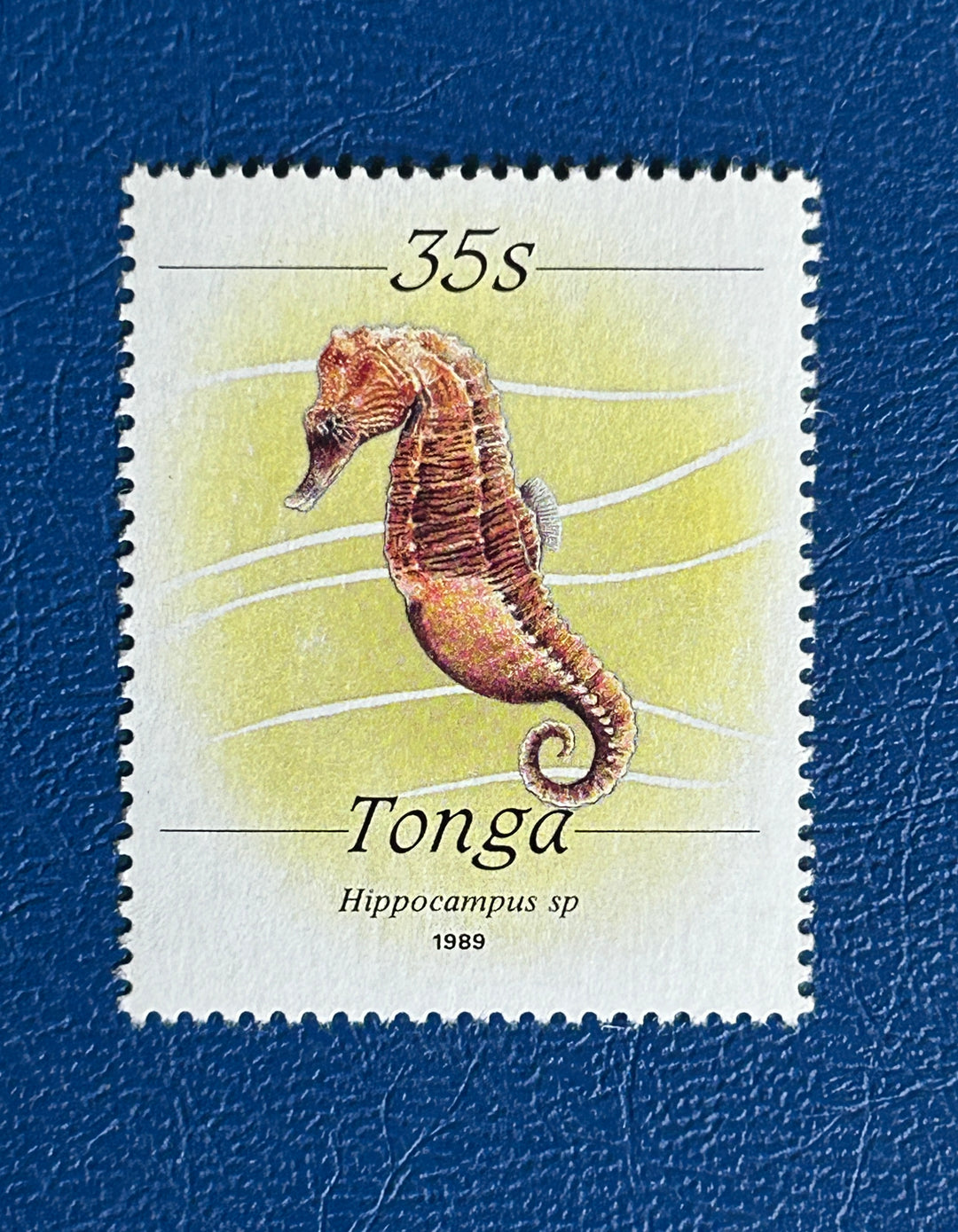 Tonga - 1989 - Seahorse #703 - MNH** (fauna)