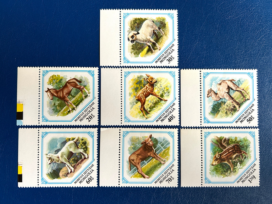 Mongolia - 1982 - Animals (fauna) -  MNH**