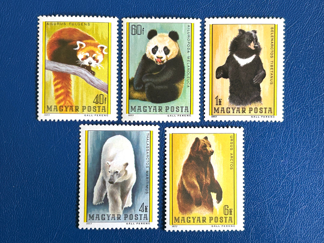 Hungary - 1971 - Bears (fauna) - MNH**