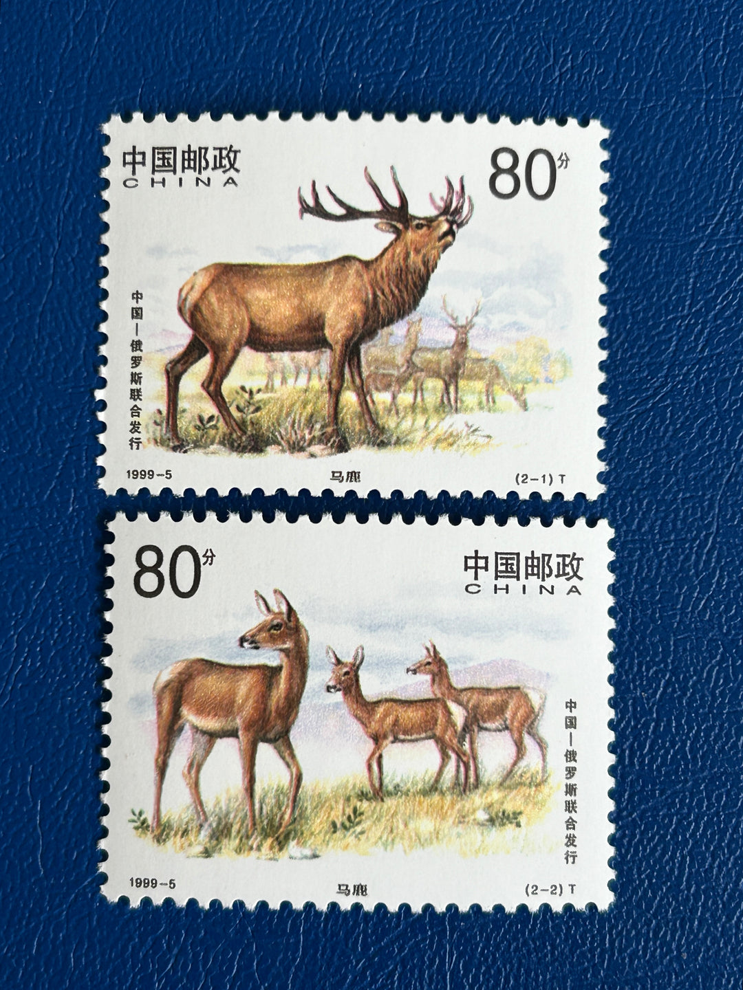 China - 1999 - Red Deer (fauna) - MNH**