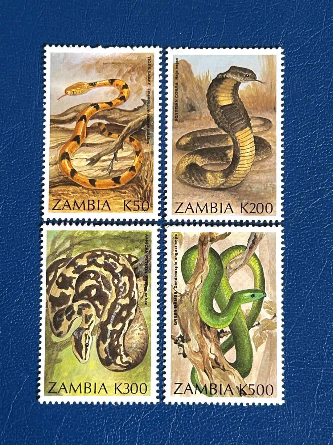 Zambia - 1994 - Snakes (fauna) - MNH**