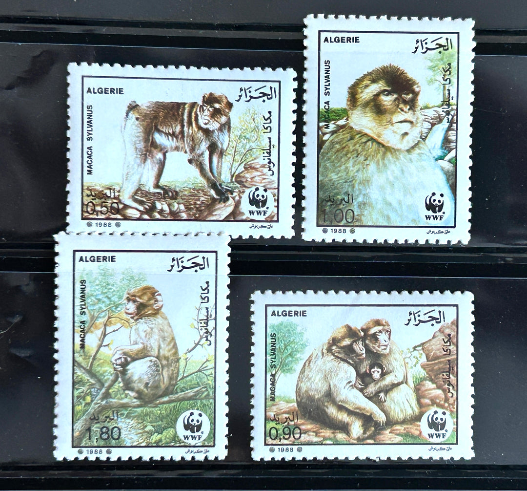 Algeria - 1988 - Barbary Macaque - MNH**