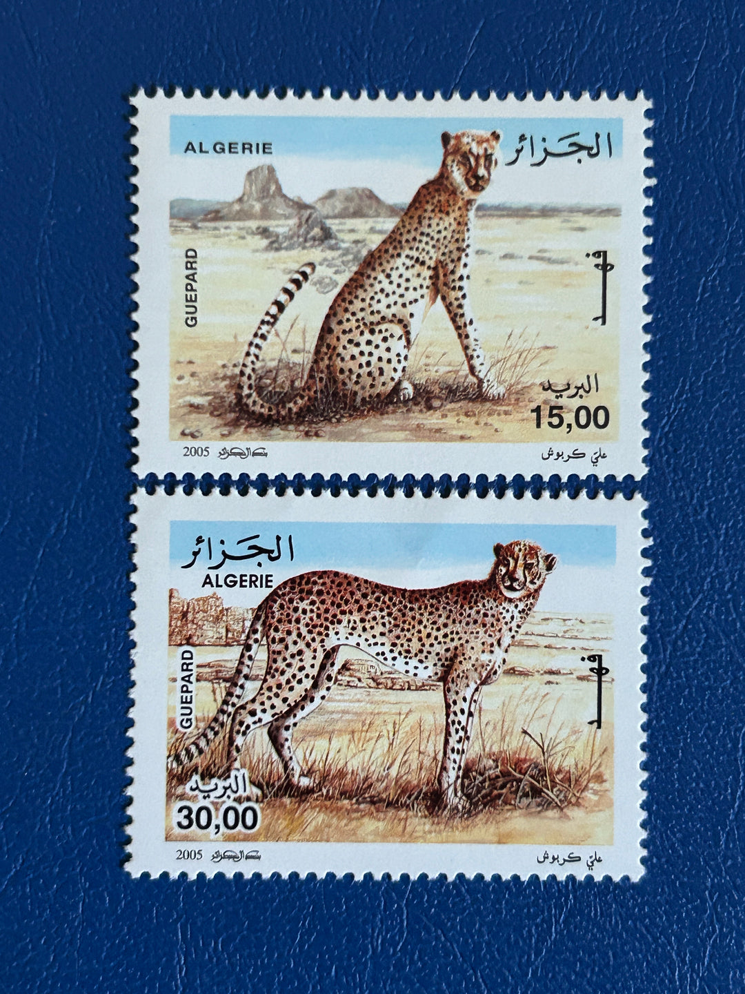Algeria Sc 1347 Cheetahs (fauna) 2005 MNH**